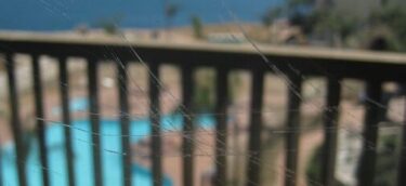 glass scratch repair - unscratch the surface